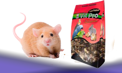 Alimentación Ratas y Ratones