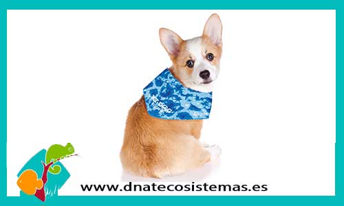 panuelo-refrescante-xt-dog-44-52cm-perro-tienda-perros-online-accesorios-perro-juguetes