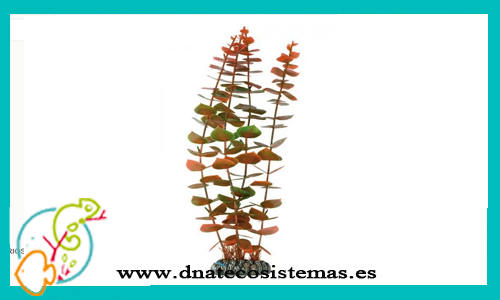 planta-plastica-alternanthera-naranja-39cms