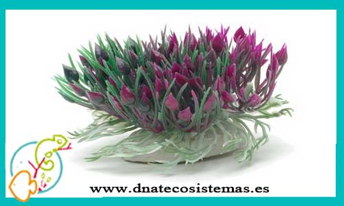 planta-red-hyacint-con-ventosa-7.6cm-marina-tienda-online-de-productos-de-acuariofilia