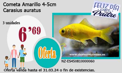 13-03-24-oferta-venta-cometa-amarillo-4-5cm-tienda-online-peces-venta-de-peces-compra-de-peces-online-peces-baratos