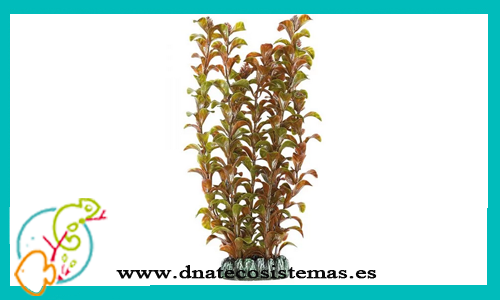 planta-plastica-alternanthera-roja-28cms
