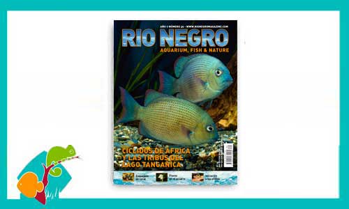 revista-rionegro-numero-39-venta