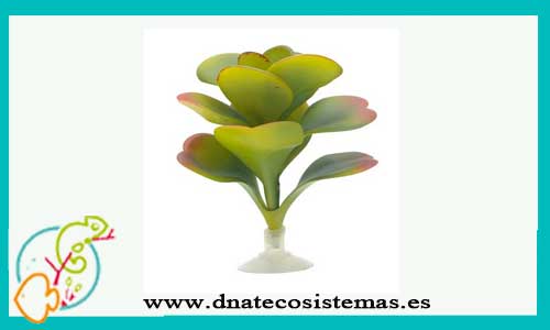 planta-red-hyacint-con-ventosa-8.9cm-marina-tienda-online-de-productos-de-acuariofilia