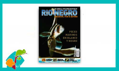 revista-rionegro-numero-30-venta