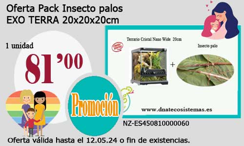 24-04-24-oferta-pack-insecto-palo-tienda-invertebrados-online-venta-insectos-palos-por-internet-tiendamascotasonline-barato-economico-terrario
