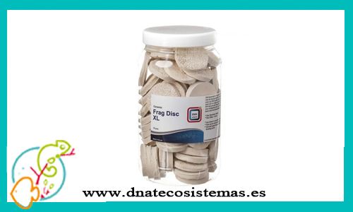 base-para-corales-frag-disc-xldvh-70ud-base-fragmentos-ceramicas-separadores-productos-acuariofilia-dnatecosistemas