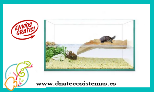 kit-tortuguero-isla-tienda-de-anfibios-online-reptiles-comida-viva-bomba-filtro-plantas-rampa-roca-tronco-arena-agua-acondicionador