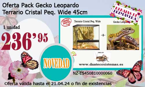 Oferta Pack Gecko Leopardo.