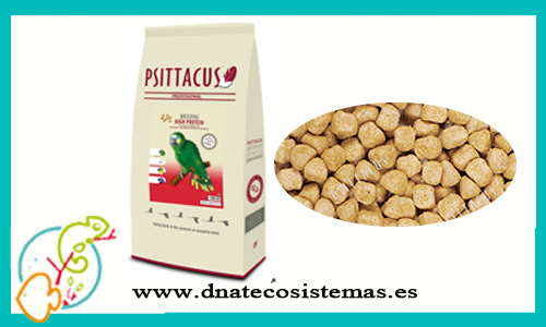psittacus-loros-cria-high-protein-12kg-cria-alta-energia-tienda-online-de-productos-para-loros-y-cacatuas