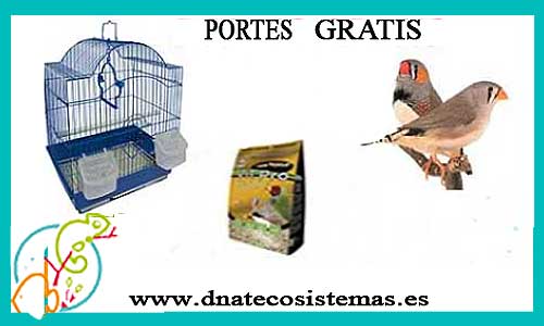 oferta-pack-exoticos-tienda-especializada-en-aves-online-venta-pajaros-baratos-por-internet-tienda-mascotas-rebajas-online