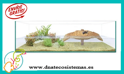 tortuguero-isla-80x50x25-tienda-de-anfibios-online-reptiles-comida-viva-bomba-filtro-plantas-rampa-roca-tronco-arena-agua-acondicionador