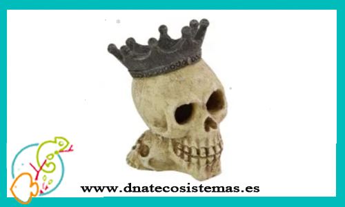 ornamento-calavera-con-corona-7.2x5.8x8.2cm-tienda-online-accesorios-decoracion-peces-regalo-ornamento