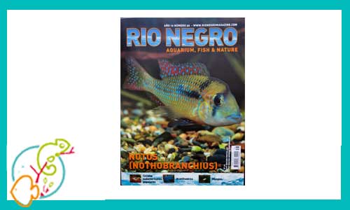 revista-rionegro-numero-56-venta