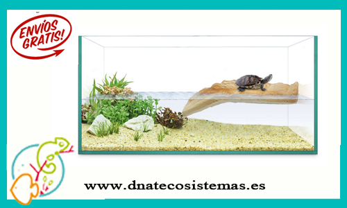 tortuguero-isla-40x20x19-tienda-de-anfibios-online-reptiles-comida-viva-bomba-filtro-plantas-rampa-roca-tronco-arena-agua-acondicionador