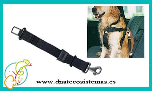oferta-venta-cinturon-nylon-coche-25mm-37-50cm-perros-tienda-perros-online-accesorios-perro-juguetes