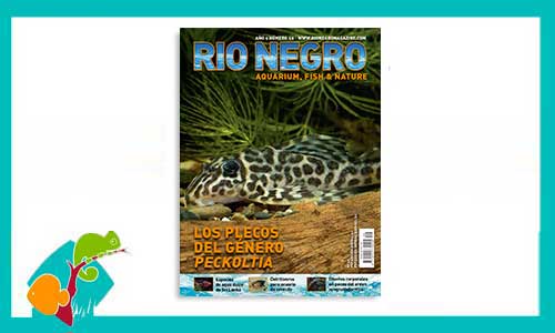revista-rionegro-numero-49-venta