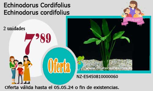 17-04-24-echinodorus-cordifolius-plantas-de-acuario-de-agua-dulce