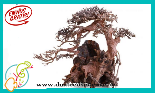bonsai-de-doble-altura-24x16x20cm-tienda-online-de-productos-de-acuariofilia-ornamentos-troncos