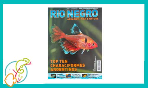 revista-rionegro-numero-58-venta