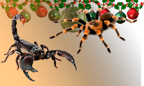 invertebrados-aranas-escorpion-gusano-hormiga-mantis-mariposa-escarabajo-grillo-tarantula