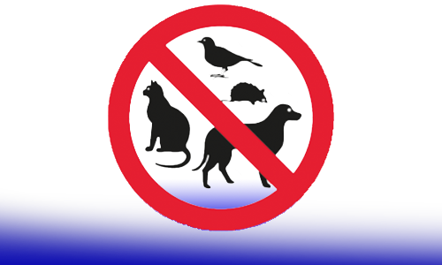 Especies prohibidas