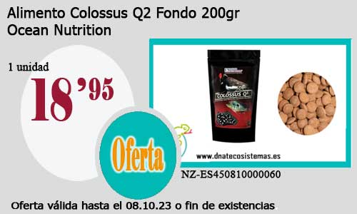 Alimento Colossus Q2 Fondo 200gr.