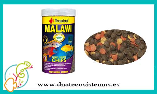 ofeta-venta-alimento-malawi-chips-250ml-tropical-tienda-de-comida-barata-peces-marinos-online-venta-alimento-economico-corales-marinos-por-internet-tienda-especializada-comida-rebajas-marino-online