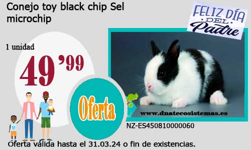 13-03-24-conejo-supertoy-blanco-negro-con-pedigri-chip-venta-de-conejo-baratos