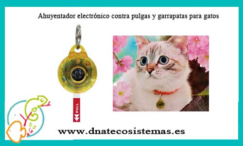 oferta-venta-ahuyentador-electronico-gatos-contrapulgas-y-garrapatas-tienda-gatos-online-accesorios-gato-juguetes