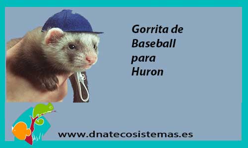 gorra-para-huron-marshall-baseball-cap-tienda-online-accesorios-huron