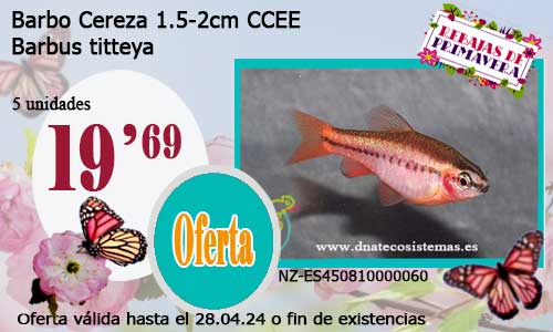 Barbo Cereza    1.5-2cm CCEE.
