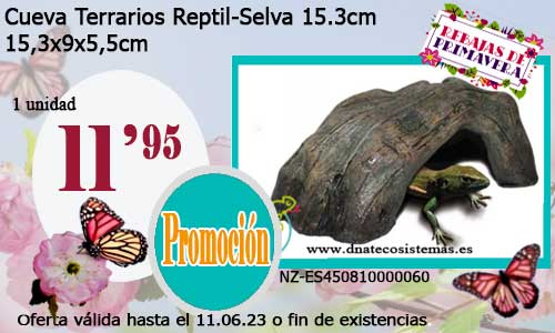 .Cueva Terrarios Reptil-Selva 15.3cm.