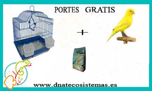 OFERTA CANARIO PORTES - 89.99€. DNATecosistemas.es