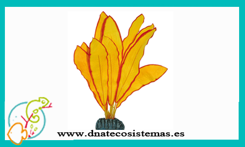 echinodorus-amarillo-11cm-ica-tienda-productos-acuariofilia-online-barato