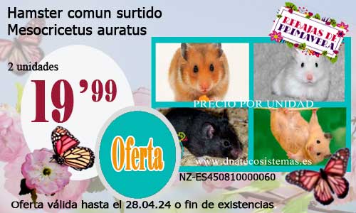 10-04-24-oferta-venta-hamster-comun-sirio-mesocricetus-auratus-tienda-de-mamiferos-baratos-online-venta-de-mascotas-economicas-por-internet-tienda-hamster-relago-online