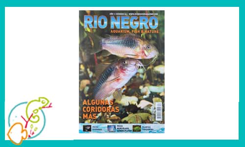 revista-rionegro-numero-62-venta