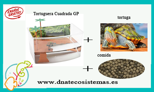 oferta-pack-tortuga-agua-2-tienda-online-de-productos-de-acuariofilia-venta-peces-internet-tiendamascotasonline-barato-economico