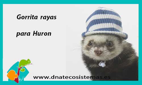 gorra-para-huron-marshall-visor-cap-tienda-online-accesorios-huron