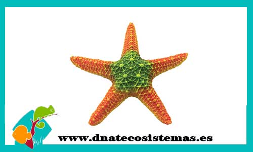 estrella-mar-naranja-18.5cm-tienda-online-productos-de-acuariofilia-por-internet-accesorios-ornamentos-decoracion-barcos-anforas-plantas