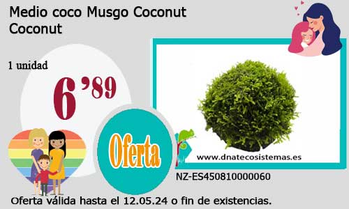24-04-24-bola-musgo-coconut-plantas-para-acuarios-de-agua-dulce