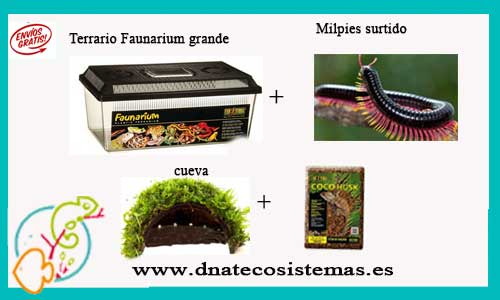 Oferta Pack Milpies con Faunarium