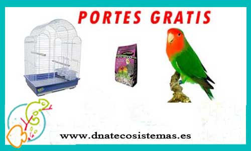 oferta-pack-agapornis-roseicolli-tienda-especializada-en-aves-online-venta-parajaros-baratos-por-internet-tienda-mascotas-rebajas-online