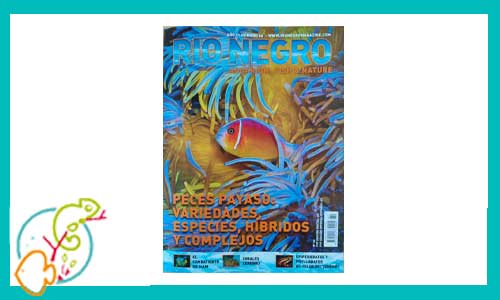 revista-rionegro-numero-60-venta