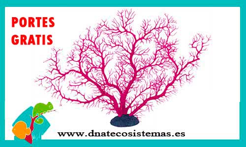 gorgonia-rosa-30cm-tienda-online-productos-de-acuariofilia-por-internet-accesorios-ornamentos-decoracion-barcos-anforas-plantas