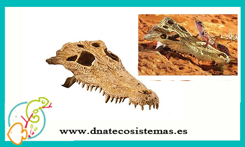 refugio-fosil-craneo-cocodrilo-exo-terra-tienda-de-animales-reptiles-anfibios-accesorios-plantas-lianas-sustrato-huevos-nano