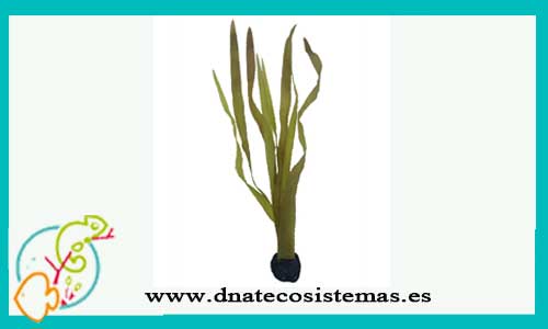 oferta-alga-marina-kelp-60cm-planta-plastico-tienda-de-productos-acuariofilia-online-venta-accesorios-para-acuarios-internet-tiendamascotasonline-barato-economico