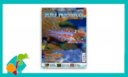 revista-rionegro-numero-24-venta
