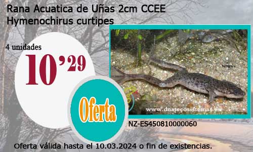 Rana Acuatica de Uñas 2cm CCEE.