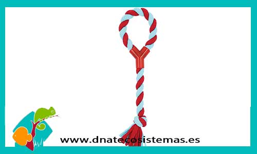 cuerda-dental-elastic-forma-y-38cm-tienda-perros-online-accesorios-perro-juguetes
